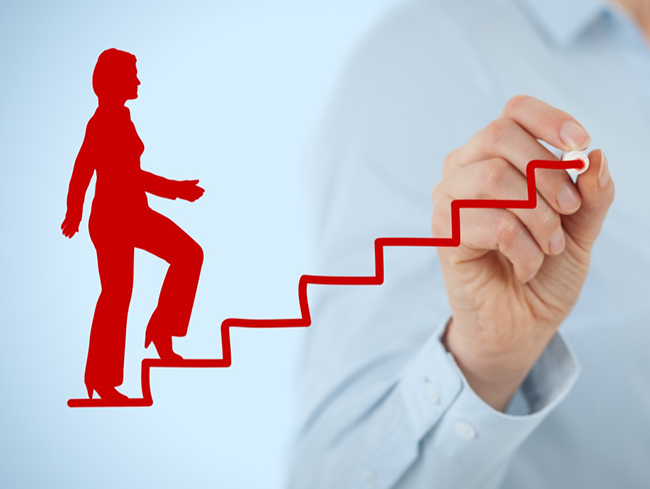 desarrollo de carreras